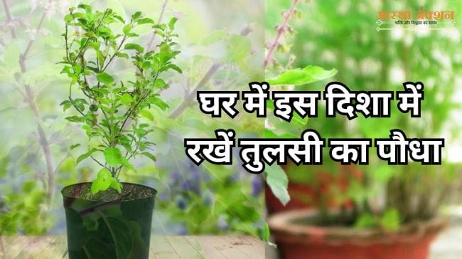 Tulsi Plant Direction in Home