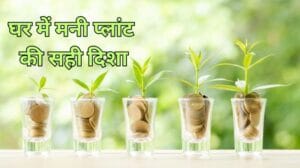 Money Plant Direction