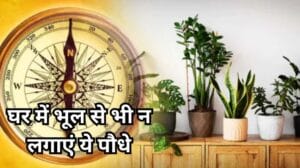 Plant Vastu Niyam